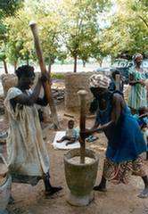 Village women preparing grain - Mali
