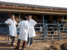 Dair research farm - Hungary