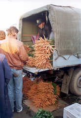 Farmer's wholesale market - Poland
